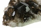 Dark Smoky Quartz Crystal Cluster - Brazil #137839-2